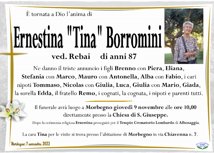 Borromini Ernestina: Immagine Elenchi