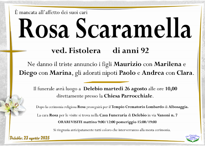 Scaramella Rosa: Immagine Elenchi