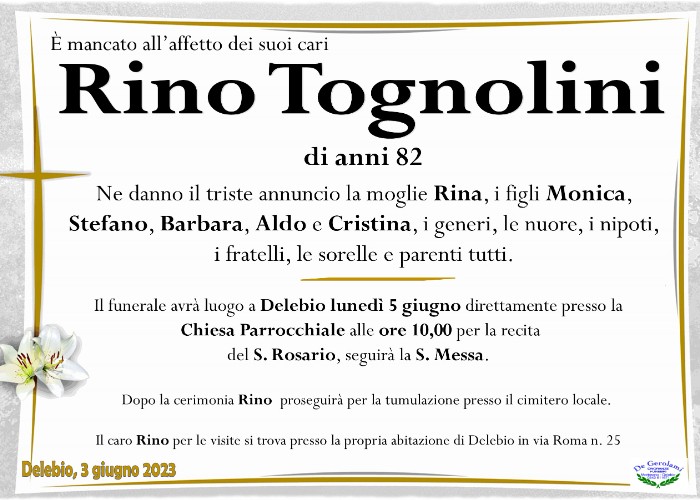 Rino Tognolini: Immagine Elenchi