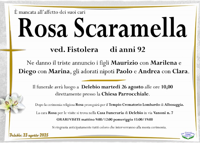 Scaramella Rosa: Immagine Elenchi
