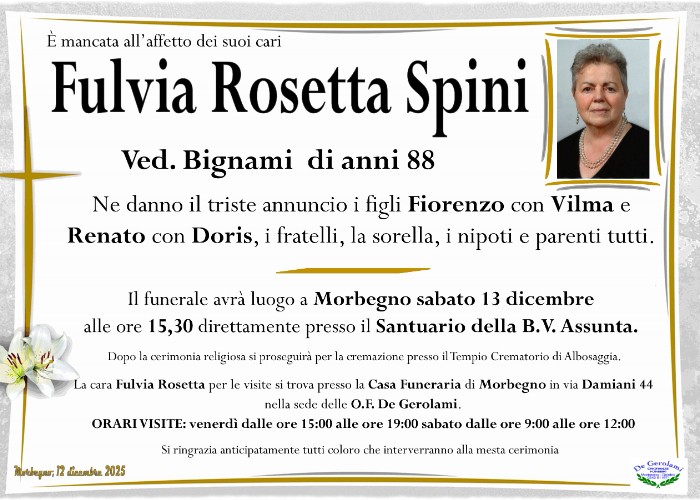 Spini Fulvia Rosetta: Immagine Elenchi