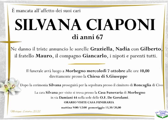 Ciaponi Silvana: Immagine Elenchi